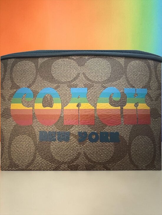 Coach Handbags - Coach Crossbody Pouch F73066 Rainbow LOGO Signature Canvas Heart Bag Charm PRIDE